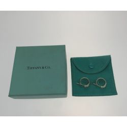 ●● Tiffany & Co. ティファニー ピアス  20451108 Bランク