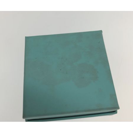  Tiffany & Co. ティファニー ピアス  20451108