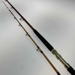 ●● DAIWA ダイワ  ロッド  剣崎D Cランク