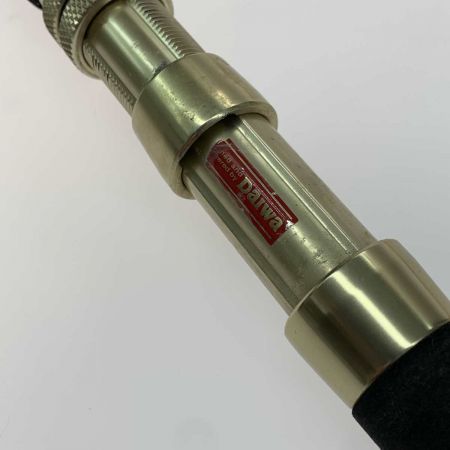  DAIWA ダイワ  ロッド  剣崎D