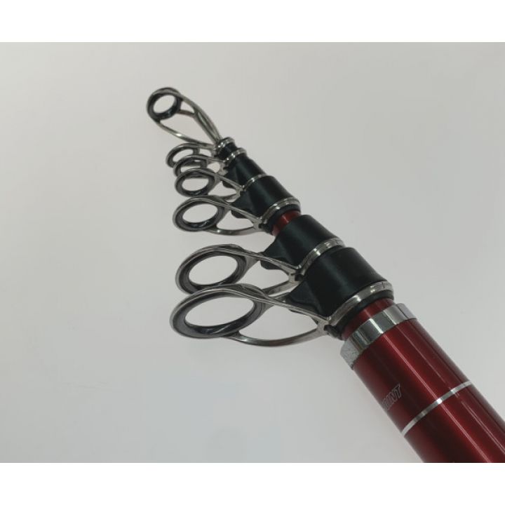 投げ竿 ダイワ トーナメントサーフT・W 25号-425 daiwa 釣具 G*i様