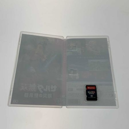  Nintendo ニンテンドウ Switch  ゼルダ無双 厄災の黙示録