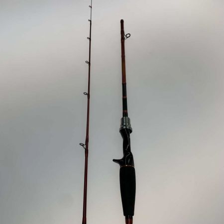  DAIWA ダイワ  ロッド 船竿  リーディング 73 MH-200 05296304