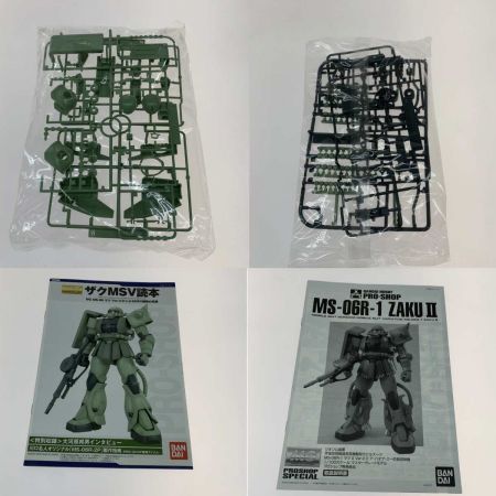   プラモデル 1/100 MG MS-06R-1 ザクII ver.2.0 ア・バオア・クー防衛部隊機 