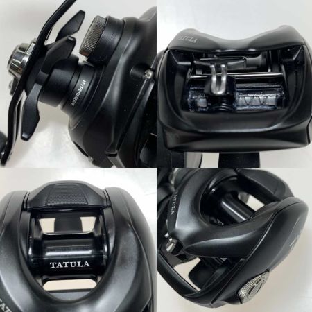  DAIWA ダイワ ベイトリール 24ﾀﾄｩｰﾗTW 100XH