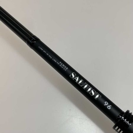  DAIWA ダイワ ルアーロッド  ソルティスト 96MHB 05805806