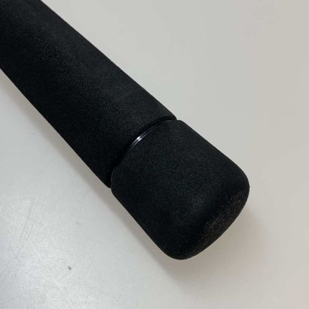  DAIWA ダイワ ルアーロッド  ソルティスト 96MHB 05805806