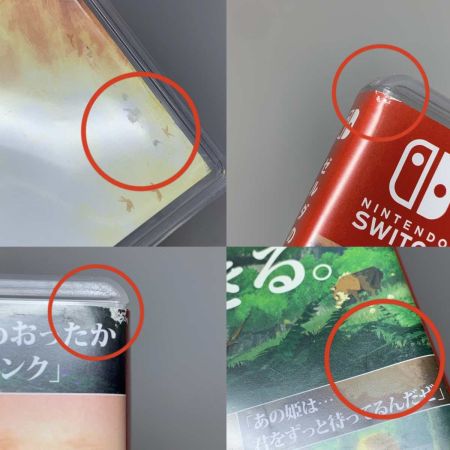   ゼルダの伝説 ブレス オブ ザ ワイルド Nintendo Switch