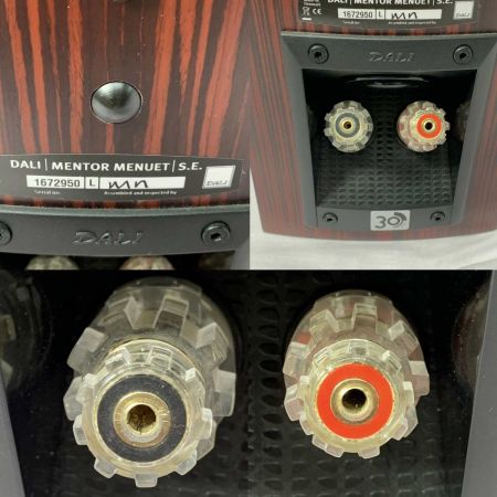  DALI オーディオ機器  ペアスピーカー MENTOR MENUET SE  242156