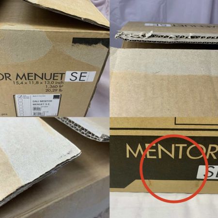  DALI オーディオ機器  ペアスピーカー MENTOR MENUET SE  242156