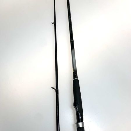  DAIWA ダイワ  ルアーロッド シーバスフラットX 100M  本体のみ 05800304