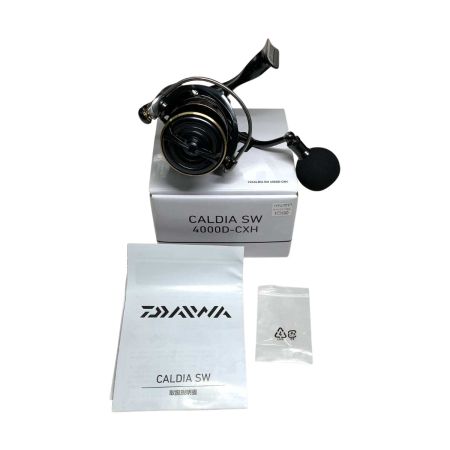  DAIWA ダイワ スピニングリール  22カルデイア SW 4000D-CXH 220661