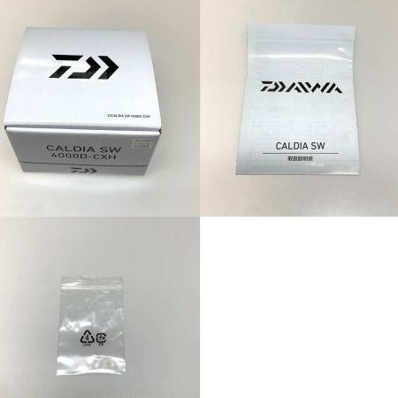  DAIWA ダイワ スピニングリール  22カルデイア SW 4000D-CXH 220661