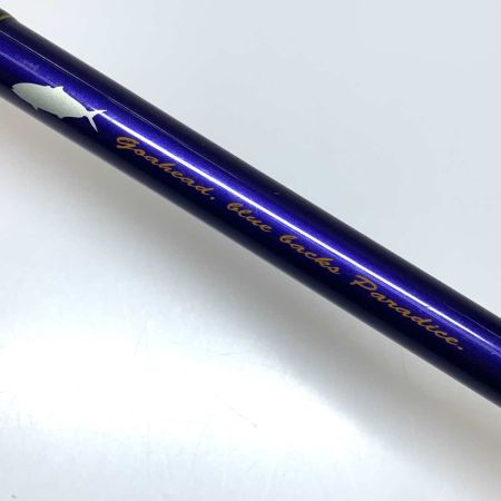  MajorCraft メジャークラフト ルアーロッド   ソルパラ 本体のみ SPS-1002H