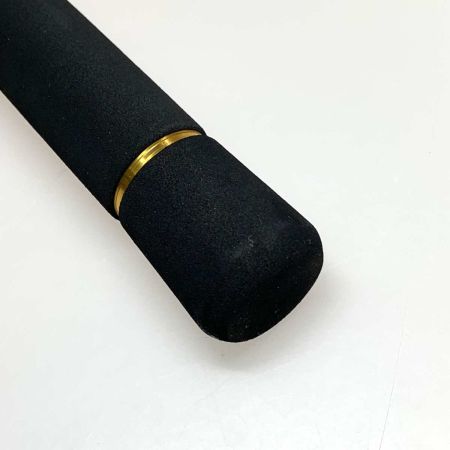  DAIWA ダイワ ロッド シーバスハンターX 16M 05800080