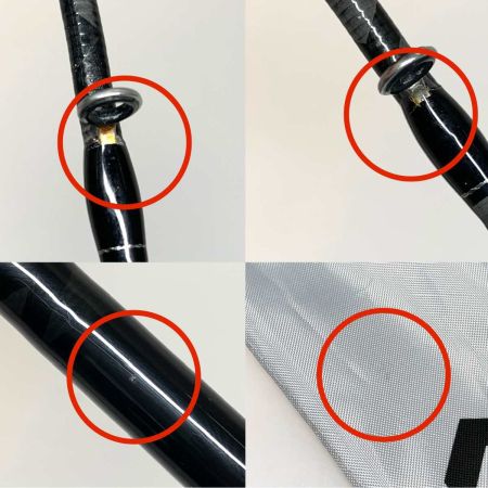  DAIWA ダイワ  ルアーロッド ブレイゾン C610M-2  05808021