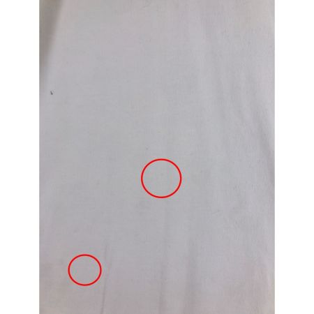  WEST RIDE ウエストライド メンズ カットソー  ホワイト