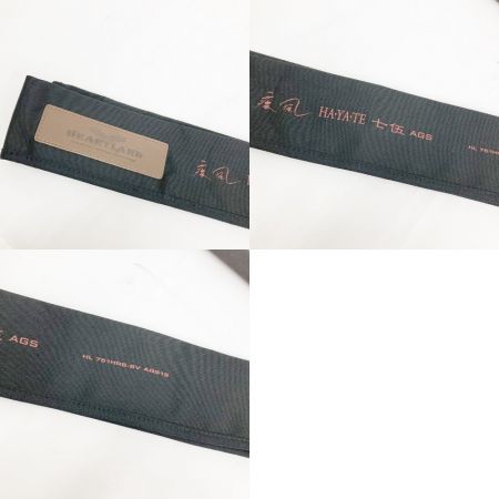  DAIWA ダイワ HEARTLAND 疾風 HAYATE 七伍 AG ロッド HL751HRB-SV