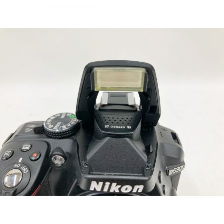  Nikon ニコン デジタル一眼レフカメラ D5300