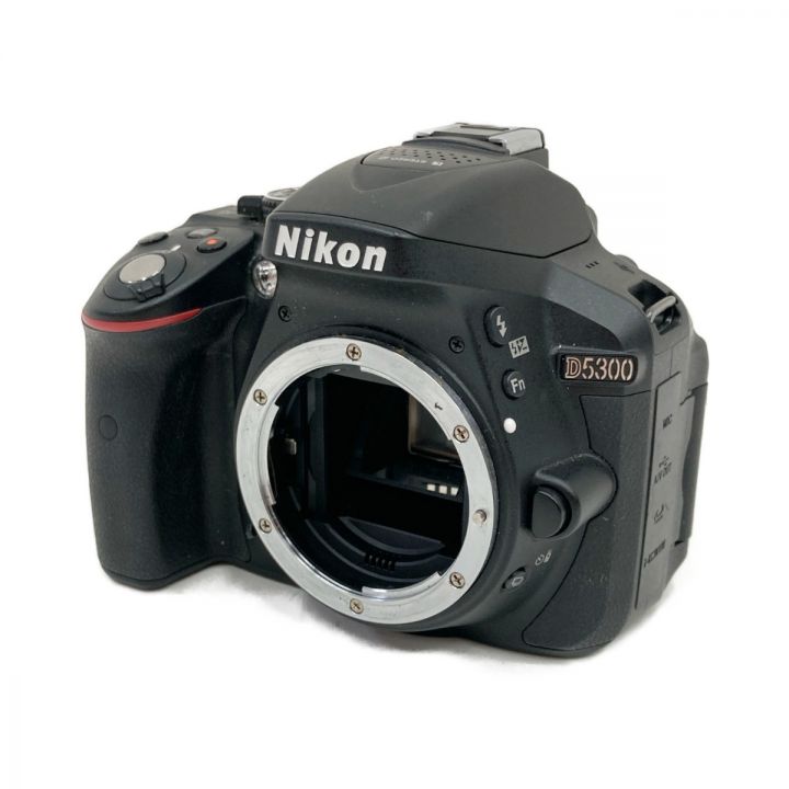 Nikon ニコン デジタル一眼レフカメラ D5300｜中古｜なんでも 