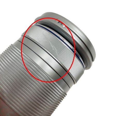  OLYMPUS オリンパス ミラーレス一眼カメラ PEN  E-PL10 ホワイト ダブルズームキット