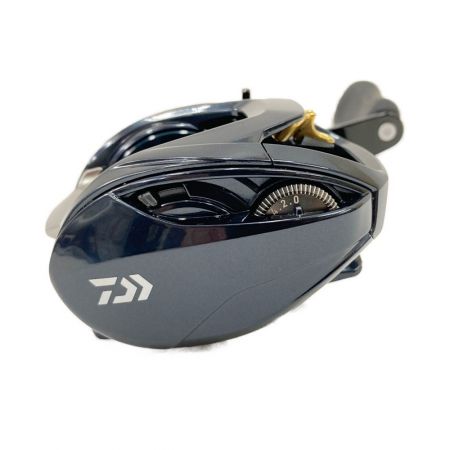  DAIWA ダイワ スティーズ STEEZ A TW HLC 8.1L 左ハンドル ベイトリール