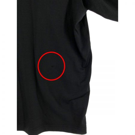  Leilian レリアン レディース カットソー タートルネックカットソー サイズ15+ ブラック