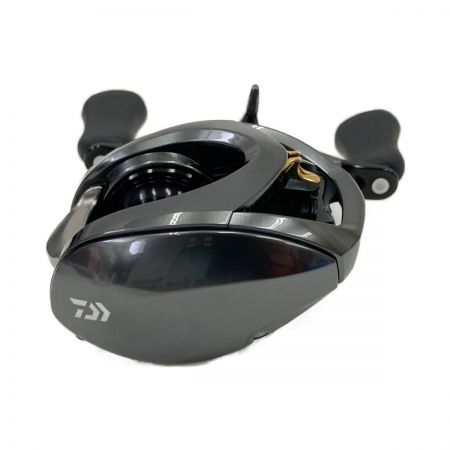  DAIWA ダイワ ベイトリール ｽﾃｨｰｽﾞCT SV TW 700HL