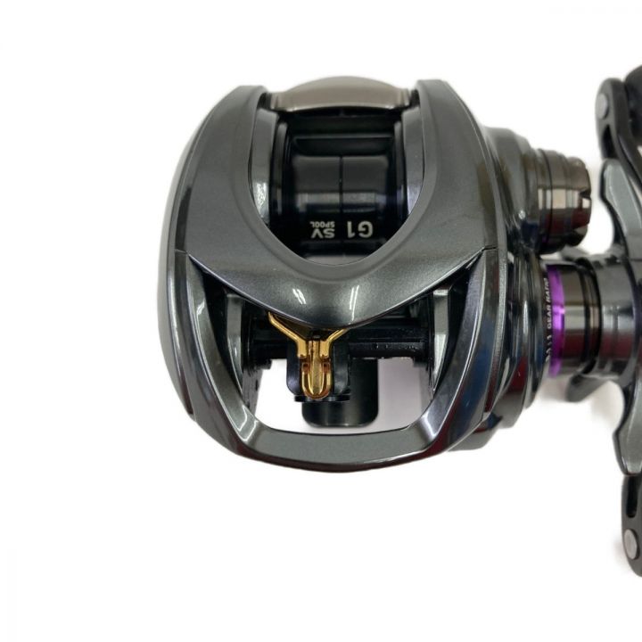 DAIWA ダイワ ベイトリール ｽﾃｨｰｽﾞCT SV TW 700HL｜中古｜なんでもリサイクルビッグバン