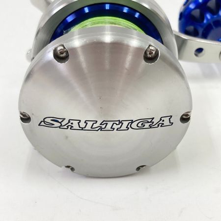  DAIWA ダイワ SALTIGA Z30 ソルティガ Z30 ベイトリール 607221