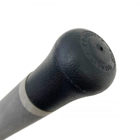  PALMS パームス CORAL STRA ルアーロッド CTNS-86X2H