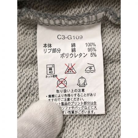  Champion チャンピオン メンズ パーカー プルオーバーパーカー サイズL C3-G109 グレー