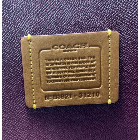  COACH コーチ チャーリー キャリーオール シグネチャー キャンバス 2way トートバッグ　 31210 ブラウン