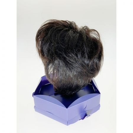  FONTAINE VALAN ヴァラン フルウィッグ  VM33-F2B ブラウン