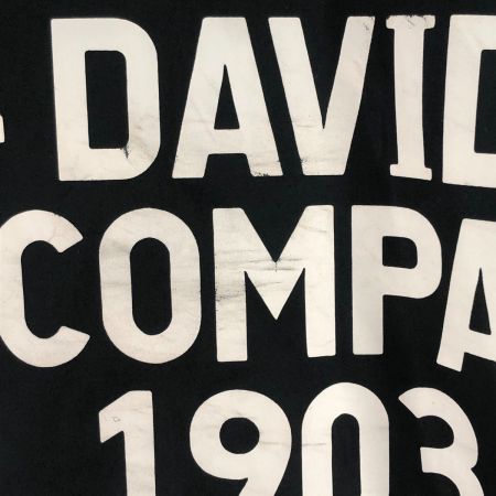  HARLEY-DAVIDSON ハーレーダビッドソン メンズ コーチジャケット サイズL 97516-19VM ブラック