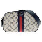 GUCCI グッチ ショルダーバッグ オールドグッチ マイクロGG 007・23
