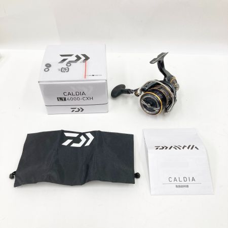  DAIWA ダイワ CALDIA 21 カルディア LT 4000-CXH 00060291 スピニングリール