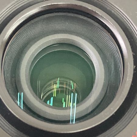  Panasonic パナソニック ルミックス LUMIX G VARIO 45-150mm f4.0-5.6 H-FS45150 交換レンズ