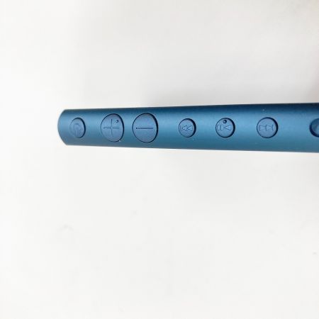  SONY ソニー WALKMAN ウォークマン ポータブルオーディオプレーヤー 32GB NW-A106 2019年モデル