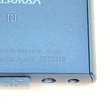  SONY ソニー WALKMAN ウォークマン ポータブルオーディオプレーヤー 32GB NW-A106 2019年モデル