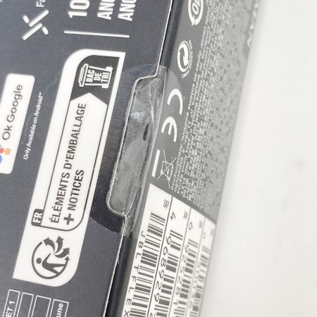  JBL ジェー・ビー・エル TUNE FLEX GHOST ワイヤレスイヤホン  JBLTFLEXGBLK 未開封品