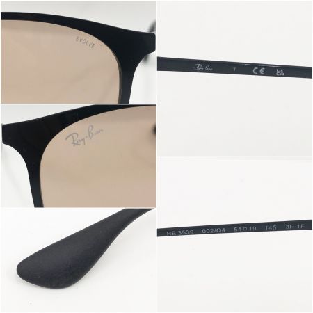 RAY-BAN レイバン ERIKA METAL EVOLVE サングラス 54□19 145 002/Q4 RB3539 ブラウン