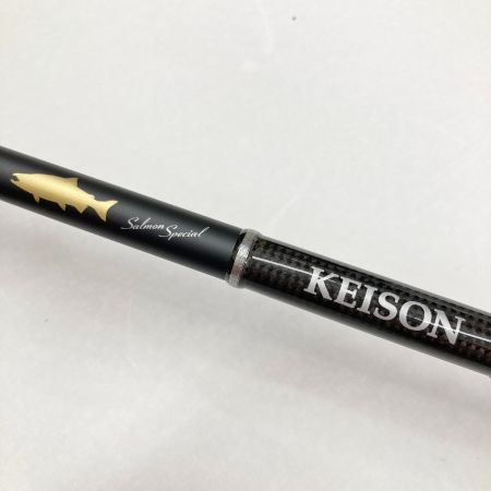  tailwalk テイルウォーク KEISON GINSEI PLUS ケイソン 銀聖 プラス 116H 17182 ルアーロッド