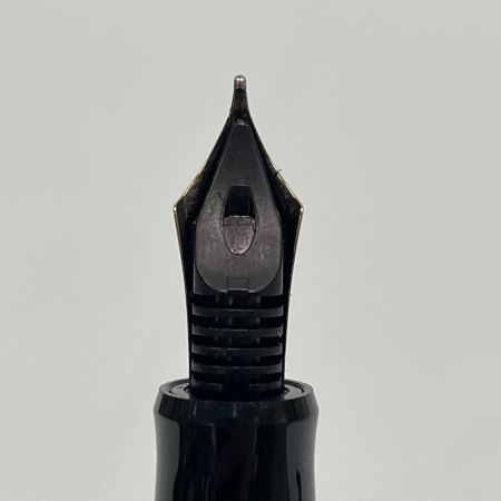 PILOT 万年筆 カスタム74 CUSTOM74 M（中字） ブラック