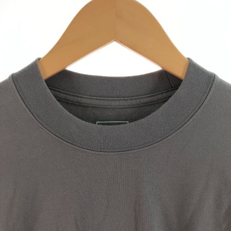  THE NORTH FACE ザノースフェイス メンズ カットソー ロングスリーブロックステディーティー サイズ L NT32463 グレー