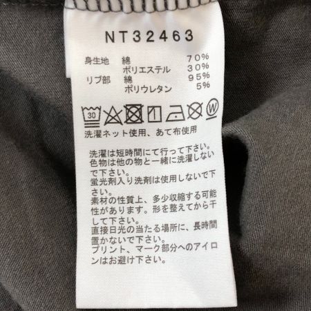  THE NORTH FACE ザノースフェイス メンズ カットソー ロングスリーブロックステディーティー サイズ L NT32463 グレー