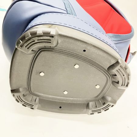  PING ピン CB-P222 2022年モデル  9.5インチ キャディーバッグ 36232-02 トリコロールカラー 未使用品