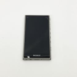 〇〇 SONY ソニー WALKMAN ウォークマン 16GB ポータブル プレイヤー NW-A105 本体のみ Bランク