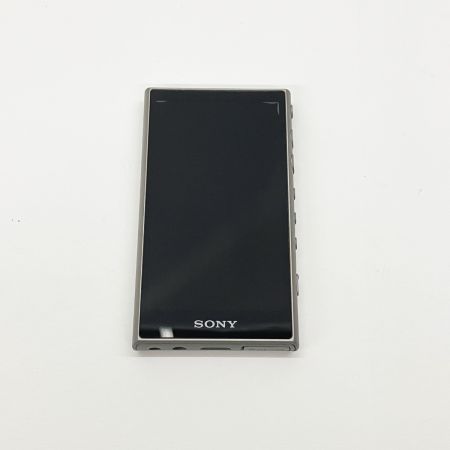  SONY ソニー WALKMAN ウォークマン 16GB ポータブル プレイヤー NW-A105 本体のみ