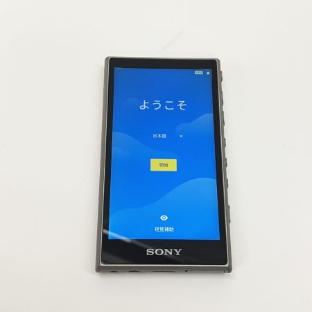  SONY ソニー WALKMAN ウォークマン 16GB ポータブル プレイヤー NW-A105 本体のみ